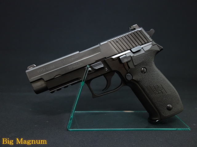 P226 レイルドフレーム エボリューション2 フレームHW モデルガン