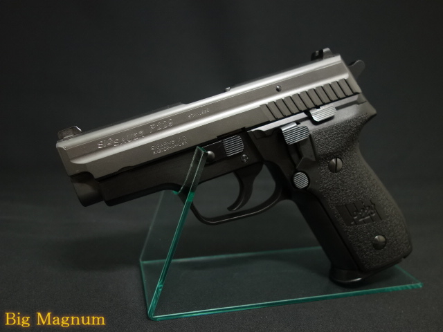 【タナカ】P229 フレームHW エボリューション2 モデルガン
