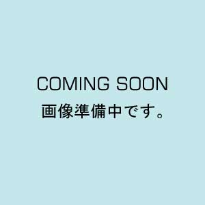 NEW SAA .45 アーティラリ EXHW