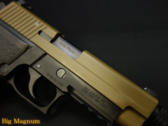 P226