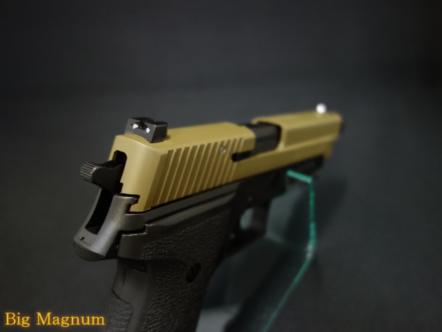 P226