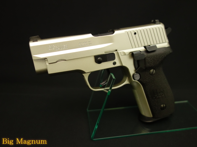P228 ALL　HW ウォームシルバーMG