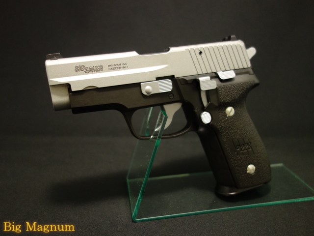 P228 Two-Tone Evo2  ALL HW モデルガン