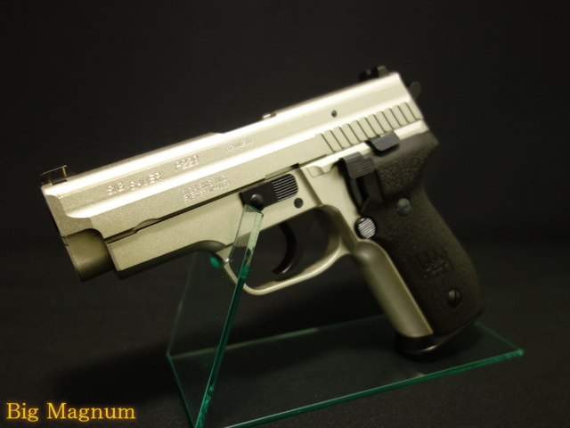 P229 SIG Warm Silver CoatingALL　HW