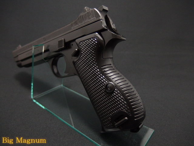 SIG P210