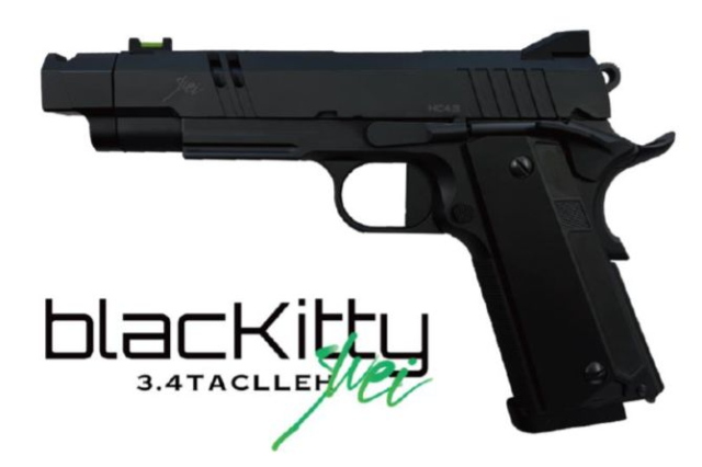 blackkittyco2
